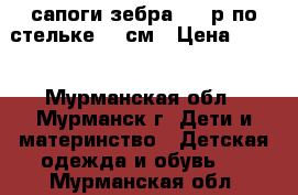 сапоги зебра  25 р по стельке 15 см › Цена ­ 450 - Мурманская обл., Мурманск г. Дети и материнство » Детская одежда и обувь   . Мурманская обл.